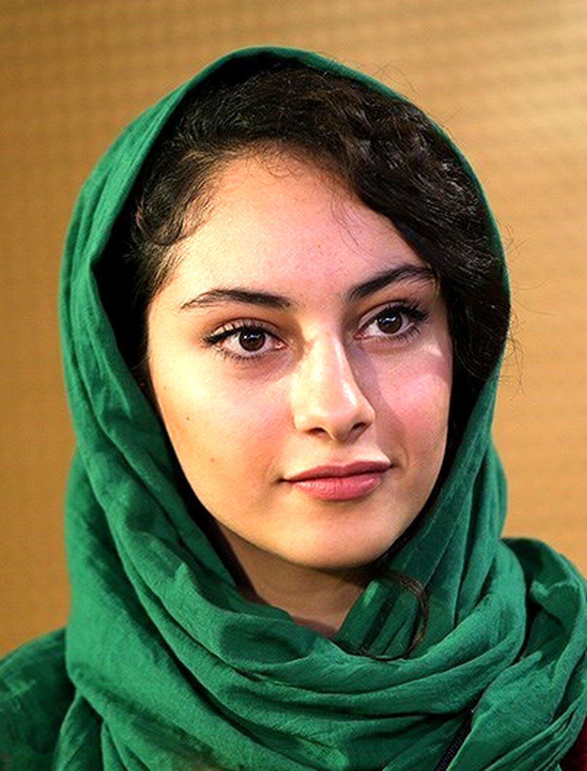 زندگینامه ترلان پروانه