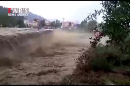 سیل تالش را برد|فیلم