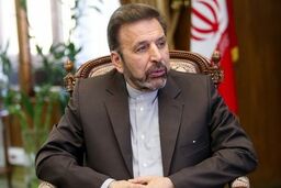 توضیحات واعظی درباره پرونده فرش‌های سعدآباد