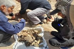 عکس | شناسایی پیکر یک شهید در موکب اربعین شلمچه