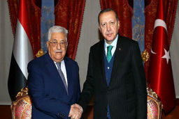 دیدار اردوغان و ابومازن در حاشیه نشست سازمان همکاری اسلامی/عکس