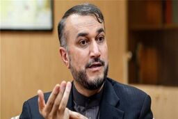 امیرعبدالهیان خطاب به اروپایی‌ها و آمریکا: فقط ٤ روز دیگر فرصت دارید