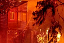 غرب آمریکا در آتش می سوزد +عکس