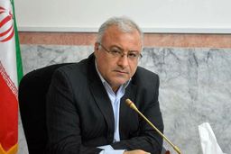 مدیرعامل کفش ملی: فروش فوق‌العاده تابستانه کفش ملی آغاز شد
