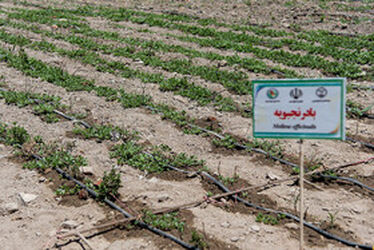 دریاچه ارومیه