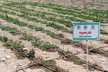 دریاچه ارومیه