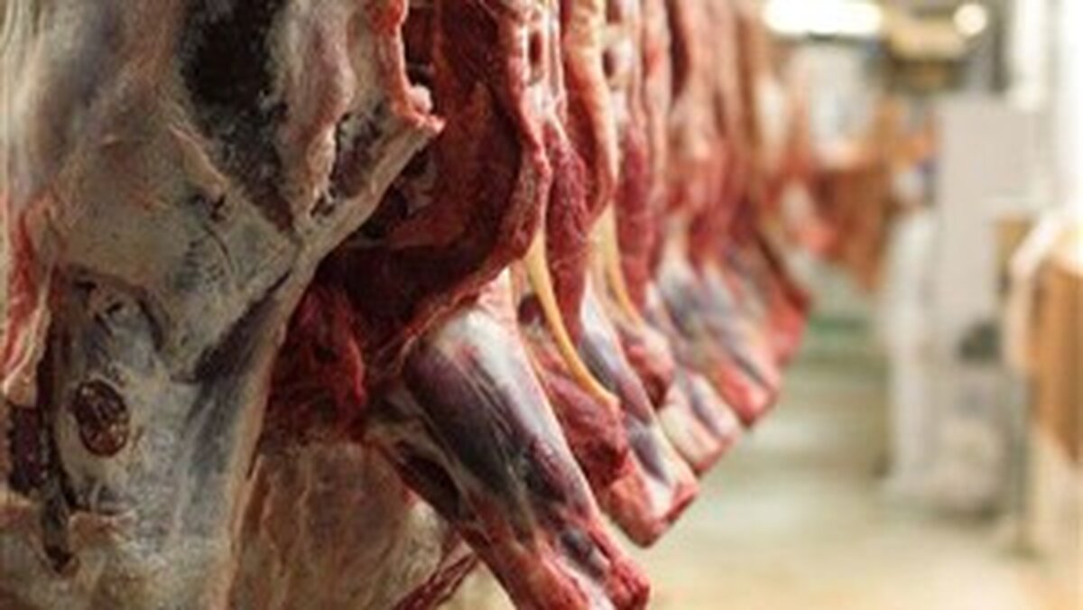 دستگیری عاملان توزیع گوشت های آلوده و فاسد در بازار هرمزگان