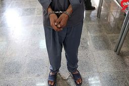 دزد حرفه ایی تهران دستگیر شد+ ماجرای کاراگاهی