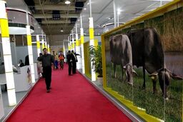 برگزاری بزرگترین نمایشگاه دام طیور خاورمیانه در سایت تهران