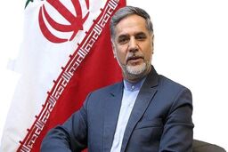 نظر نقوی حسینی درباره فعالیت‌های انتخاباتی احمدی‌نژاد