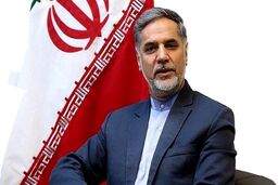 نظر نقوی حسینی درباره فعالیت‌های انتخاباتی احمدی‌نژاد
