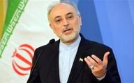 صالحی: در دوران روحانی از منجنیق فلک سنگ فتنه می‌بارید
