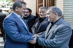شکاف تعیین‌کننده
