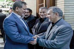 شکاف تعیین‌کننده
