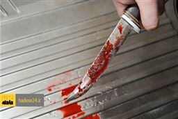 سارقان بی رحم پیرزن تنها را با چاقو سلاخی کردند