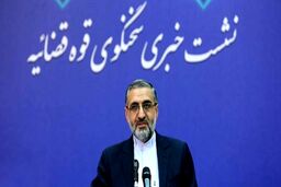 صدور حکم اعدام برای جاسوس امریکایی در ایران