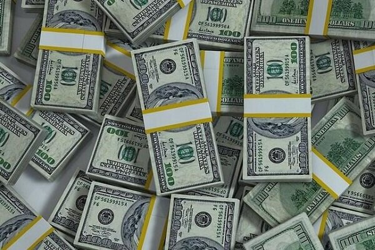 وزارت ورزش و جوانان: ارزی به سرخابی‌ها ندادیم فقط آن ها رابه بانک مرکزی معرفی کردیم