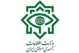 شناسایی و انهدام شبکه اخلال‌گر بازار ارز توسط وزارت اطلاعات