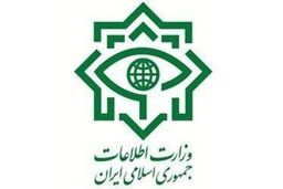 شناسایی و انهدام شبکه اخلال‌گر بازار ارز توسط وزارت اطلاعات
