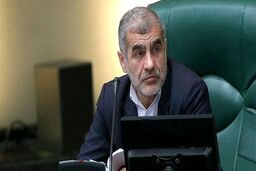 درخواست نیکزاد از معاونان پارلمانی وزارتخانه ها