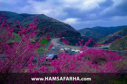 آشنایی با دره ارغوان مشهد و محل دقیق آن