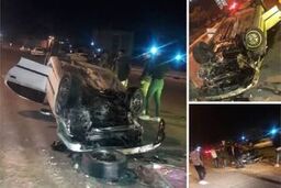 دختر ۱۶ ساله، سوژه جدید پروژه  کشته سازی در شیراز +عکس