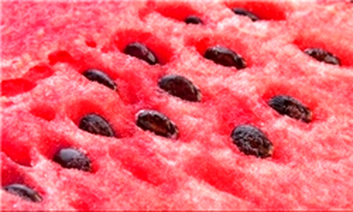 خواص اعجابانگیز تخم هندوانه