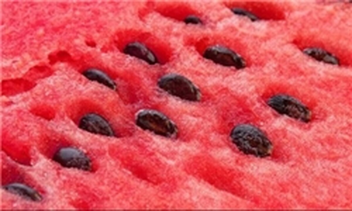 خواص اعجاب‌انگیز تخم هندوانه