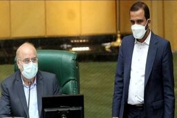 درخواست عضو هیئت رئیسه مجلس از دولت