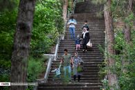 تکذیب تعطیلی ۲هفته‌ای بوستان‌های تهران به دلیل شیوع کرونا