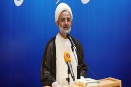 ذوالنوری: رئیس جمهور در ایران مثل کمک خلبان است