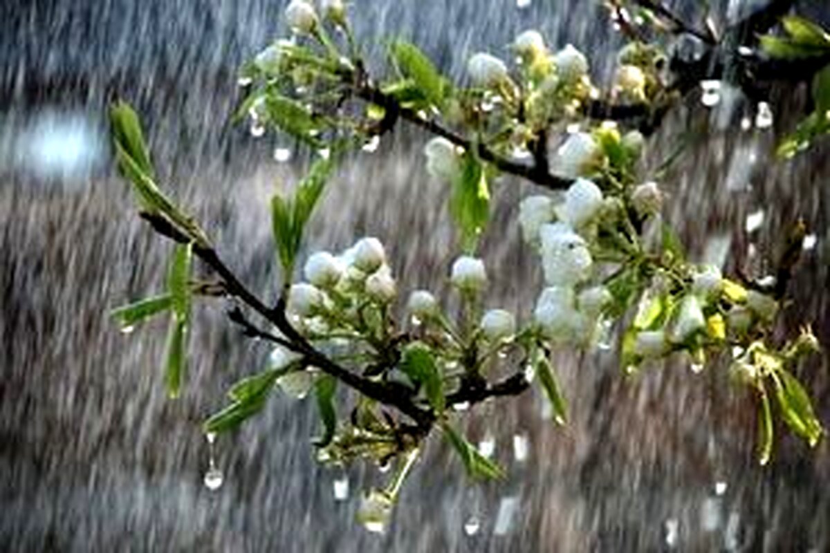 خیزش گرد و خاک در نقاط مختلف کشور/ رگبار باران در ۲۱ استان