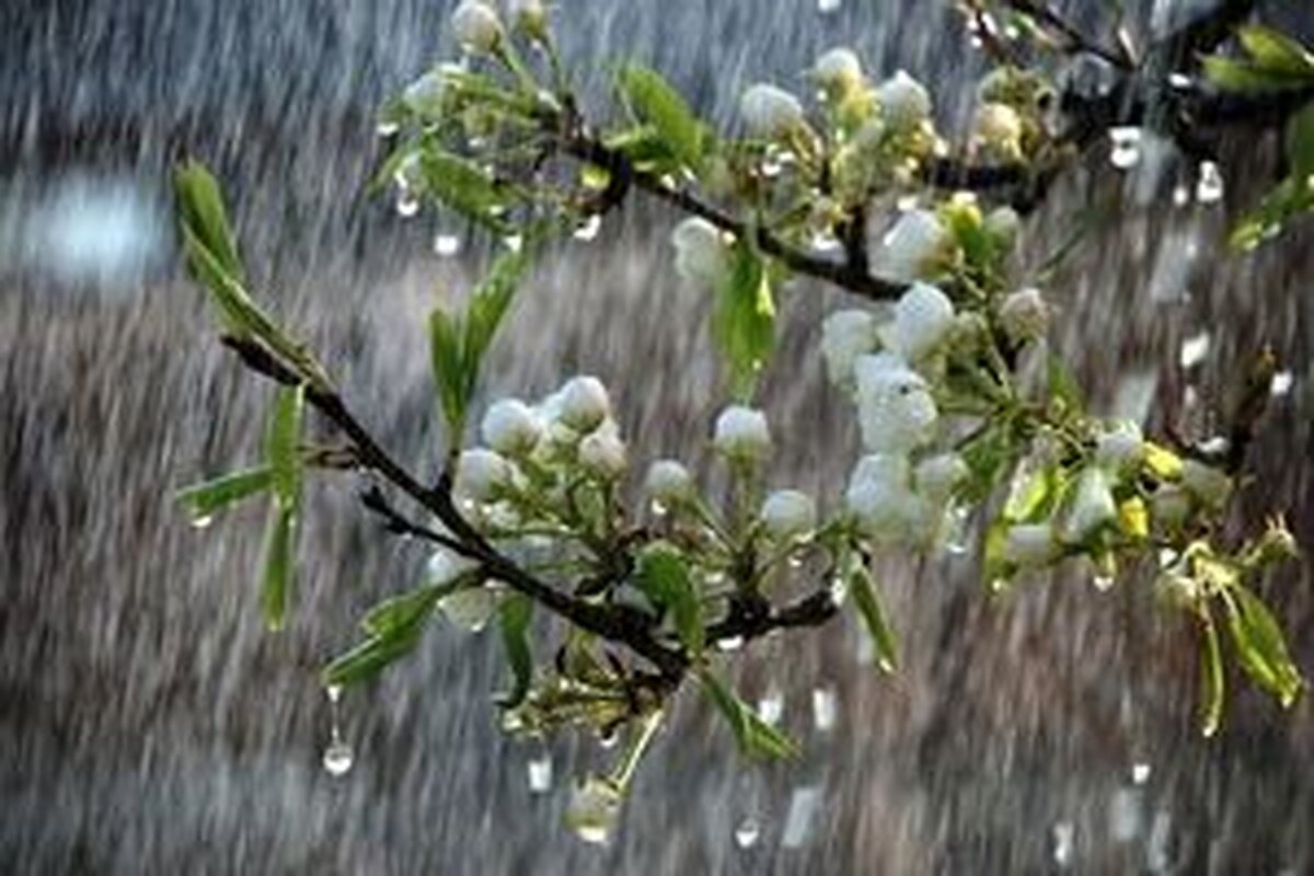 خیزش گرد و خاک در نقاط مختلف کشور/ رگبار باران در ۲۱ استان