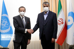 دیدار رئیس سازمان انرژی اتمی و گروسی در تهران  