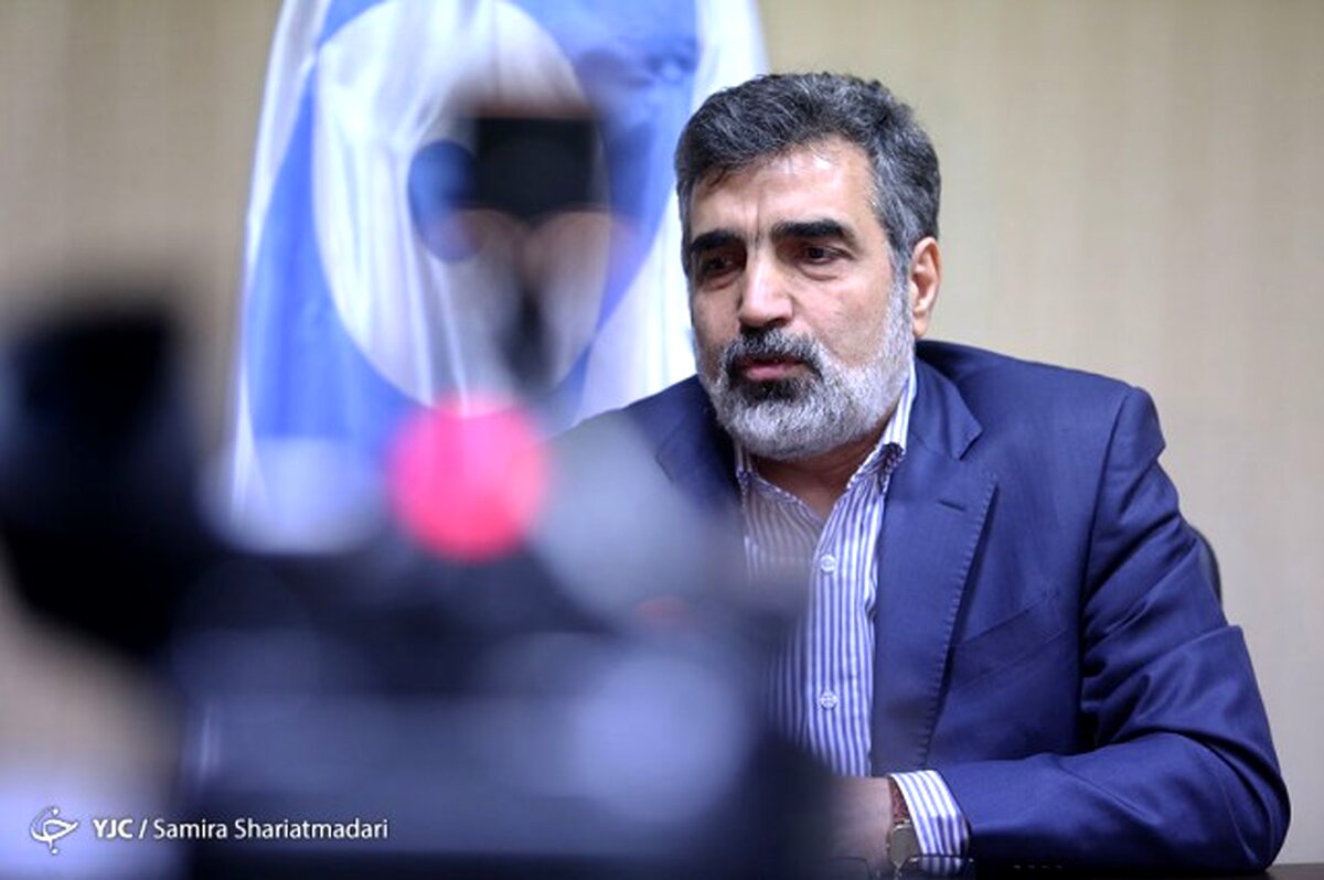 جزئیات جدید از حادثه برای سخنگوی سازمان انرژی اتمی ایران