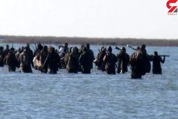 یورش دوباره 50 شکارچی نقابدار به آشورزاده / محیط بانان پرندگان مهاجر را فراری دادند/ لزوم ورود نیروهای امنیتی