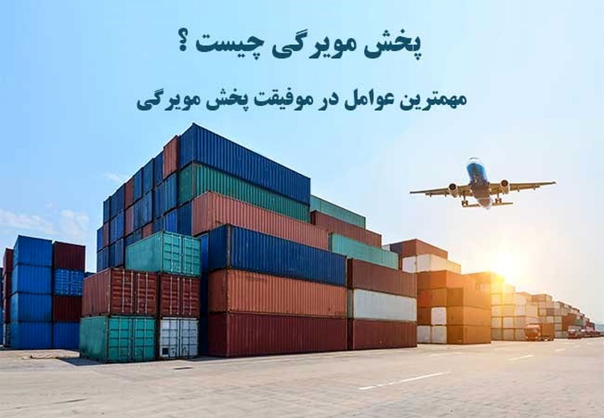 پخش مویرگی چیست و مهمترین عوامل در موفیقت پخش مویرگی