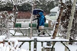 بارش برف و باران ۵ روزه در برخی نقاط کشور