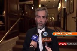 اختلاف علی باقری و وزیر خارجه دروغ است