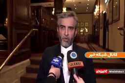 اختلاف علی باقری و وزیر خارجه دروغ است