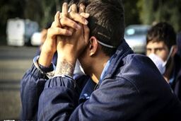 داماد خشمگین همسرش و پدر و مادر او را در تاکستان کشت