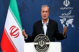 ربیعی: دولت هیچ برنامه‌ای برای افزایش قیمت تا پایان کار دولت ندارد