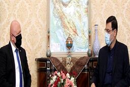 سفیر اسلواکی با نایب رئیس مجلس دیدار کرد
