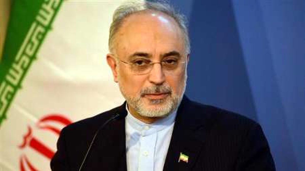صالحی: ما را وادار به عکس العمل نکنند/تا زمان اجرای برجام به پروتکل الحاق متعهدیم