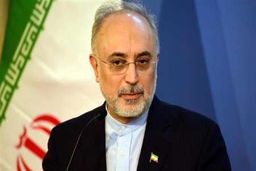 صالحی: ما را وادار به عکس العمل نکنند/تا زمان اجرای برجام به پروتکل الحاق متعهدیم