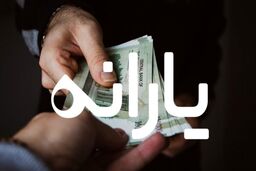 مجردها برای دریافت یارانه ثبت نام کنند + ویدئو جزییات