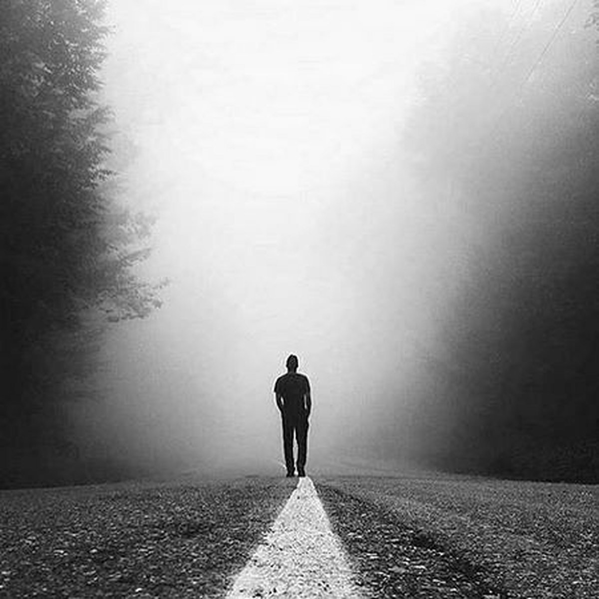 عکس پروفایل پسرانه؛ تنهایی در مه