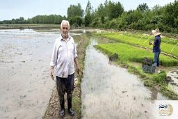 کاشف برنج معروف هاشمی در 74 سالگی فوت شد + عکس