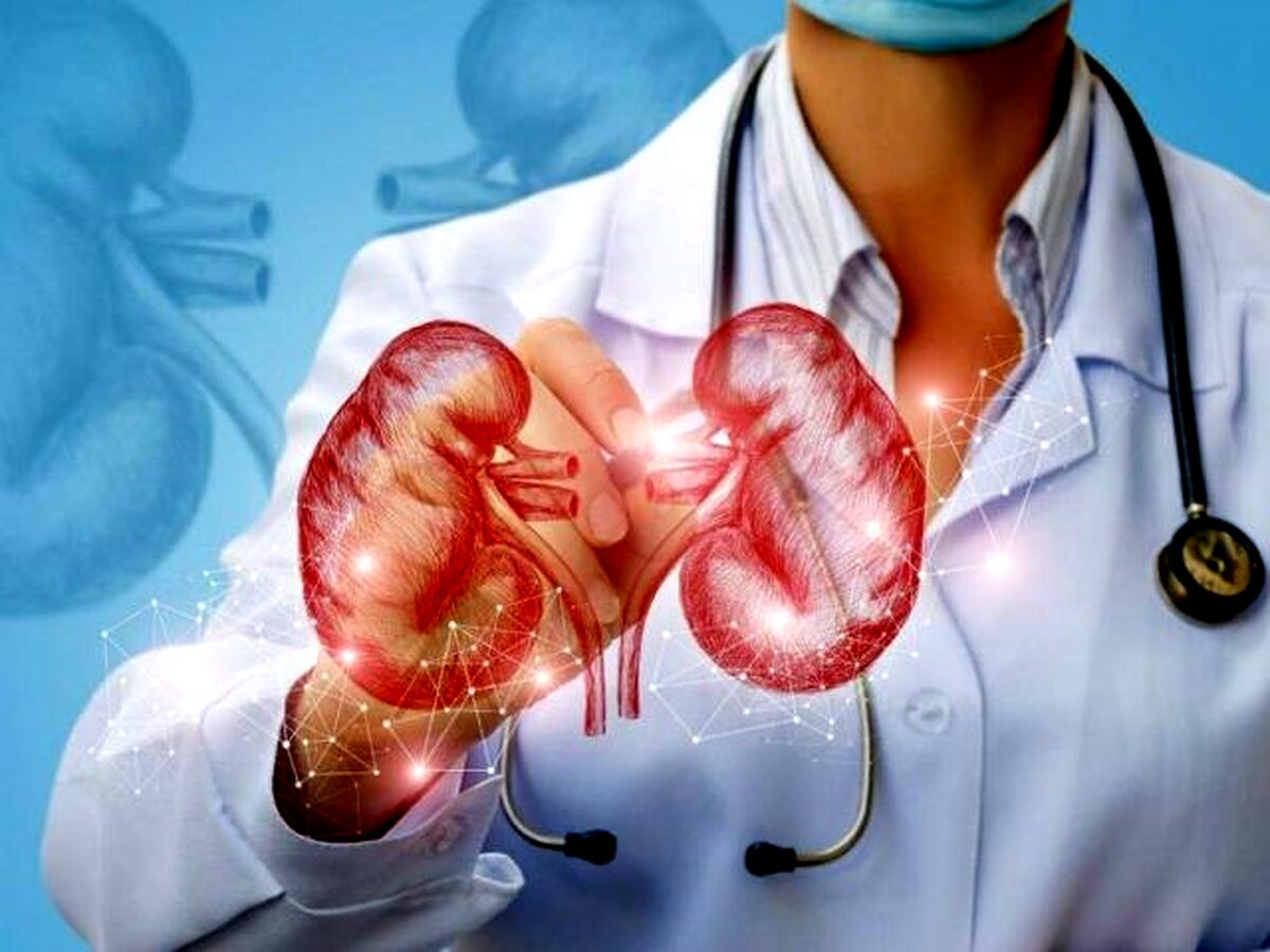  چه افرادی نیازمند مراجعه به کلینیک کلیه هستند؟