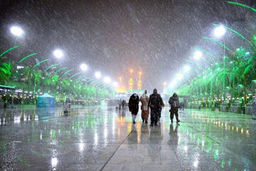 بازداشت ۵۰ ایرانی در حرم امام حسین(ع) + جزئیات